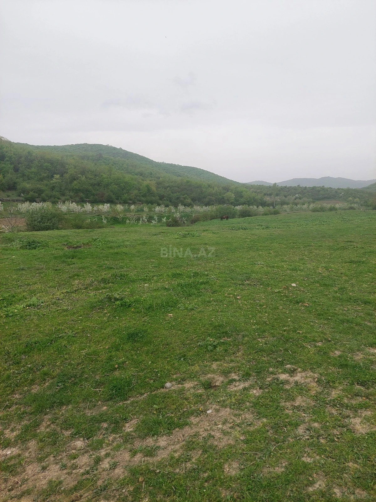 Satılır torpaq sahəsi 31.5 m²