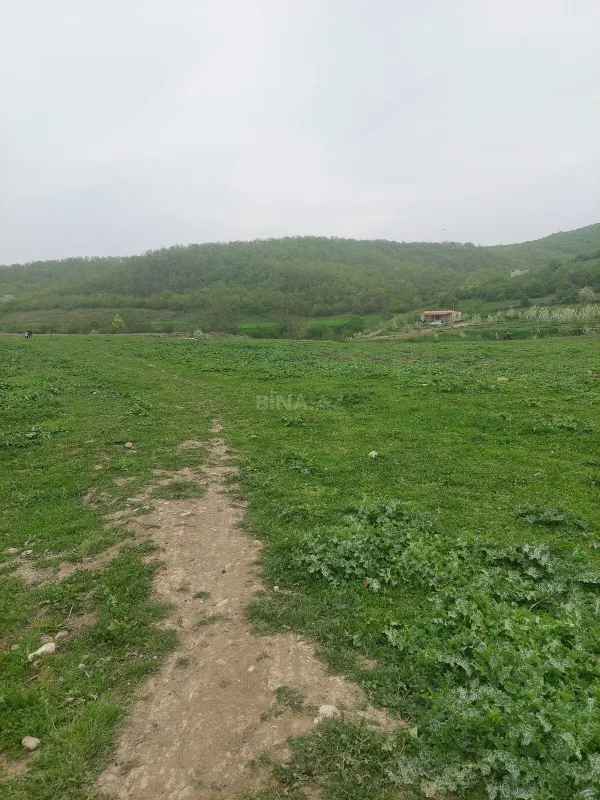 Satılır torpaq sahəsi 31.5 m²