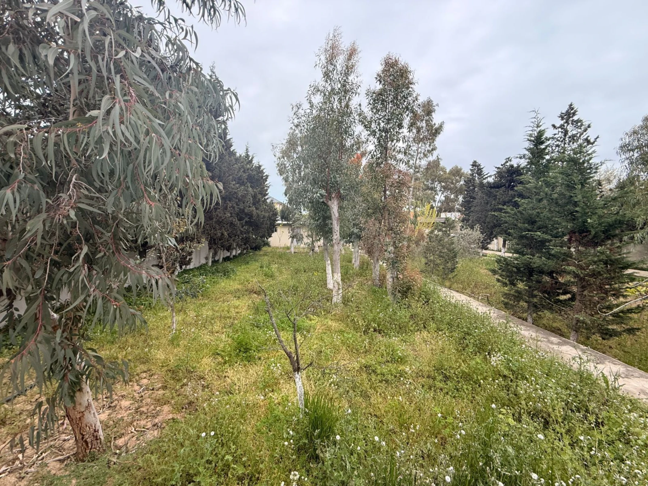 Satılır torpaq sahəsi 12 m²