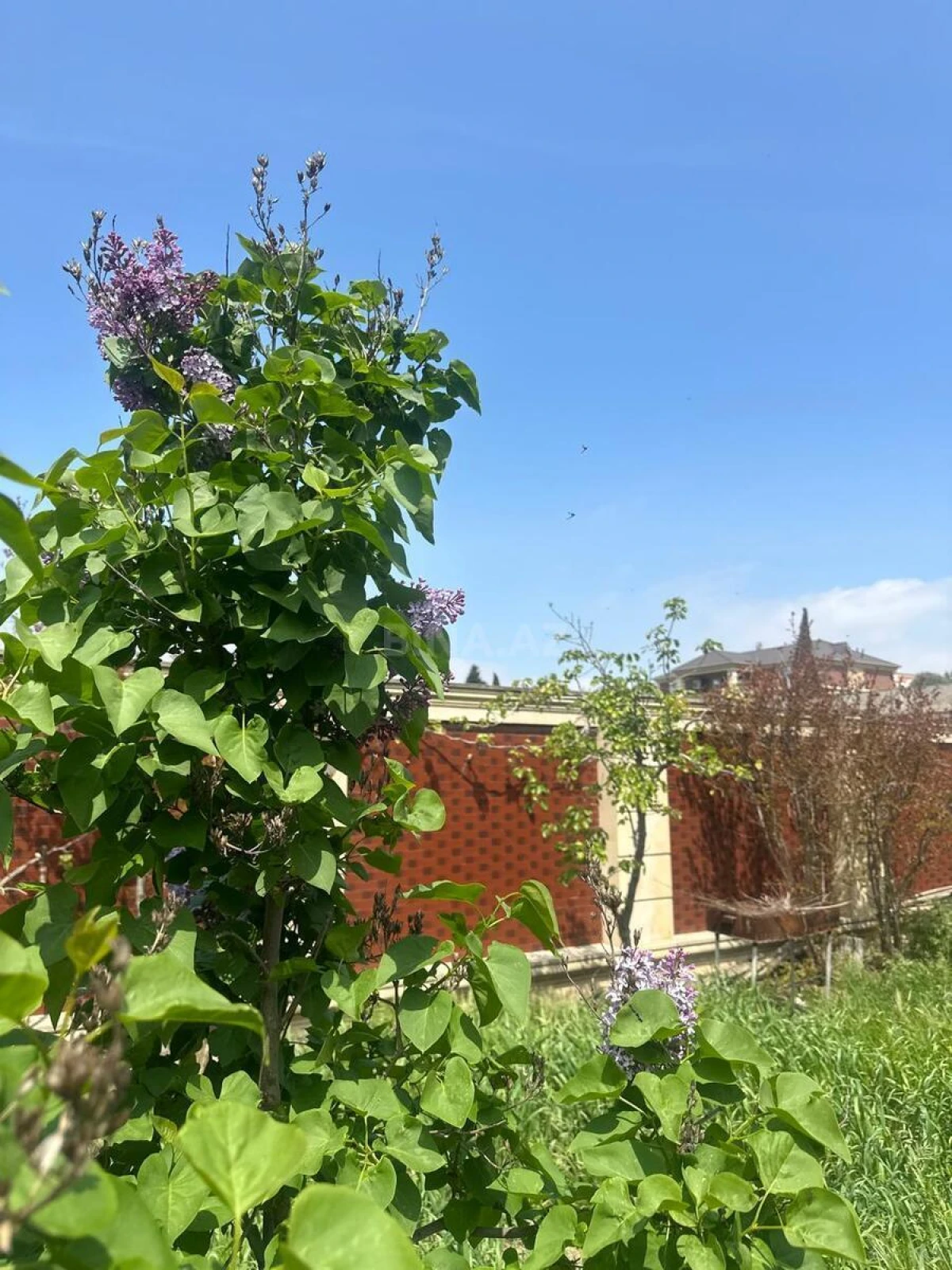 Kirayə verilir 5 otaqlı həyət evi 450 m²