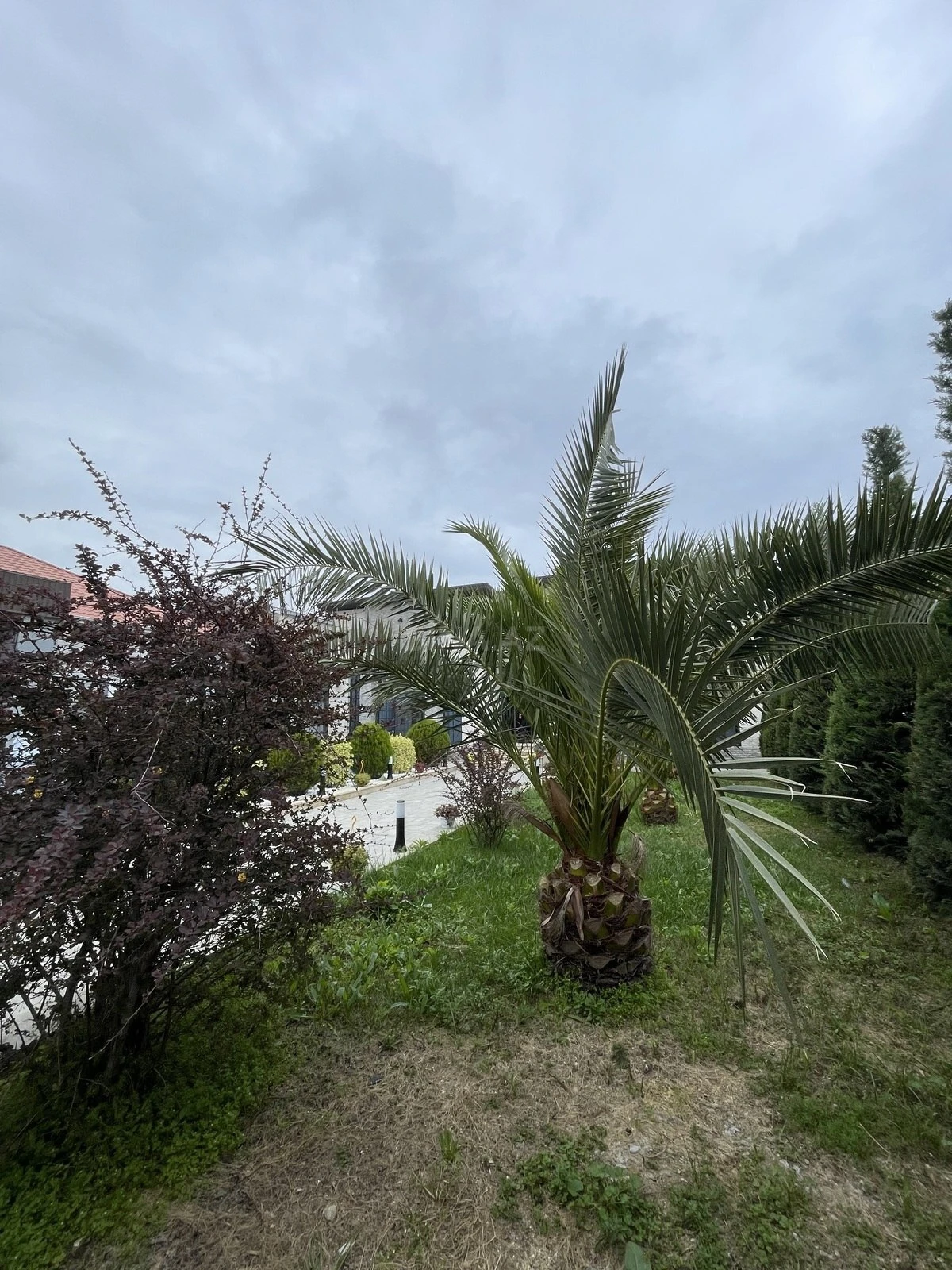 Kirayə verilir 4 otaqlı həyət evi 250 m²