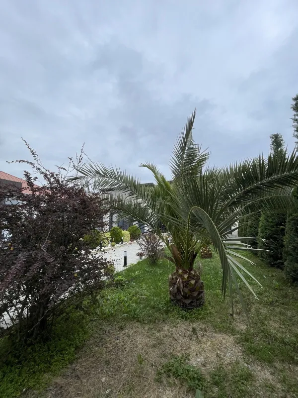 Kirayə verilir 4 otaqlı həyət evi 250 m²