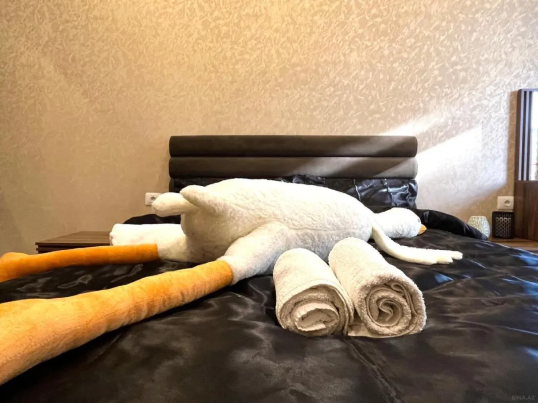 Satılır 2 otaqlı mənzil 58 m²