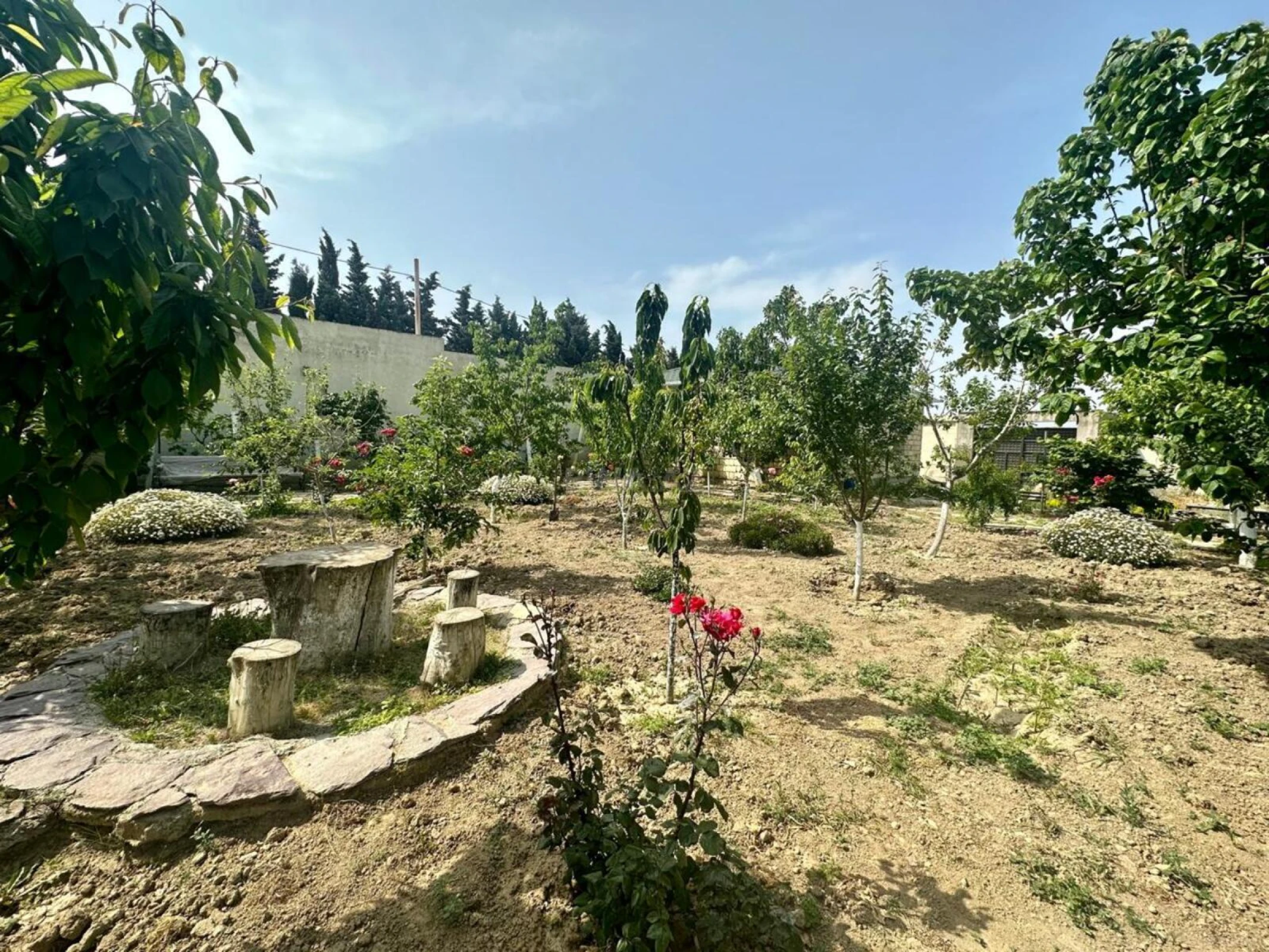 Kirayə verilir 6 otaqlı həyət evi 530 m²