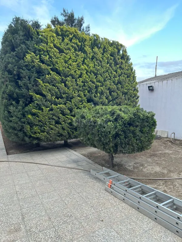 Kirayə verilir 4 otaqlı həyət evi 180 m²