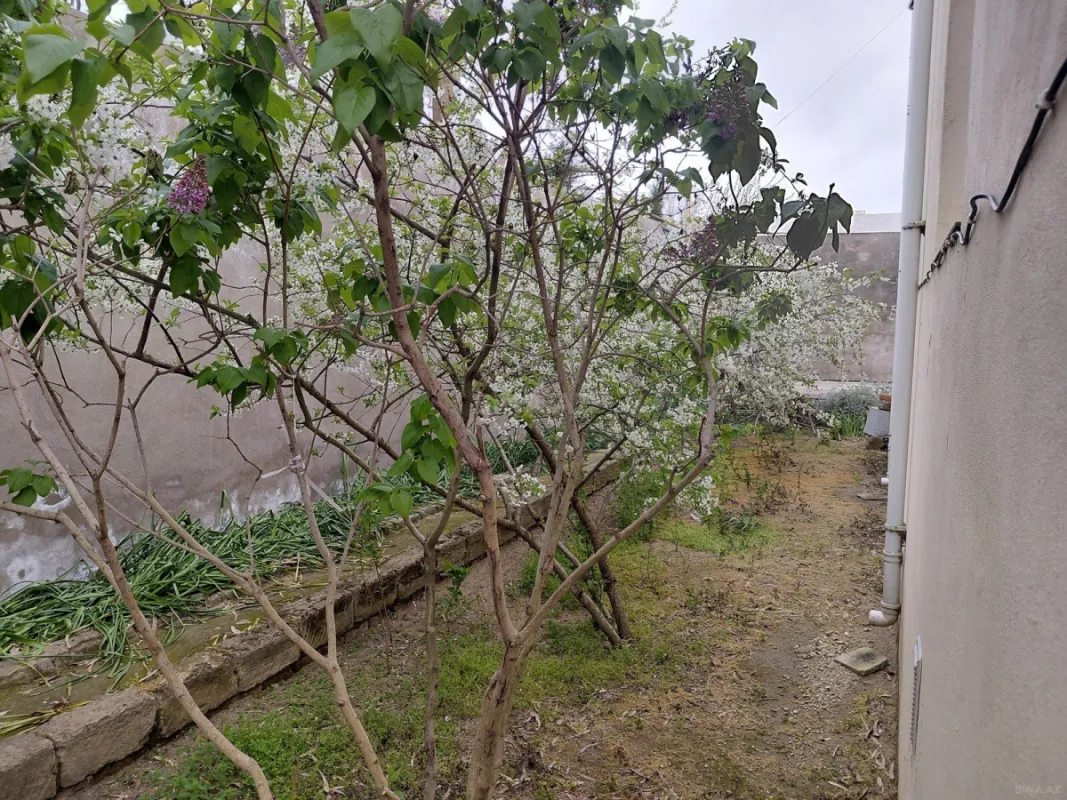 Satılır 6 otaqlı həyət evi 214 m²