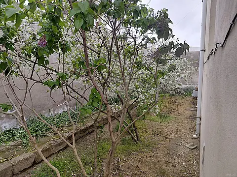 Satılır 6 otaqlı həyət evi 214 m²