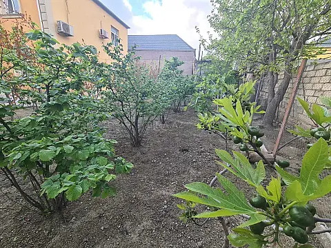 Satılır 5 otaqlı həyət evi 220 m²