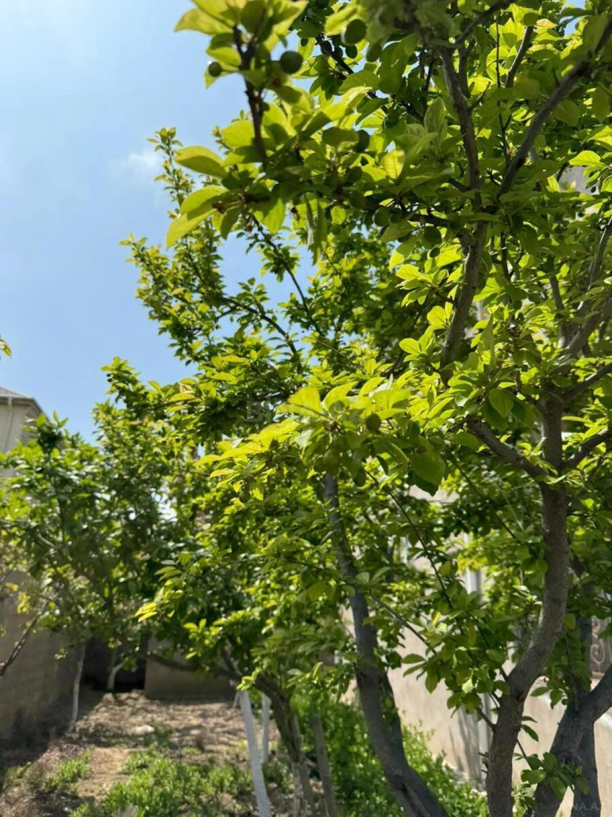 Satılır 6 otaqlı həyət evi 150 m²