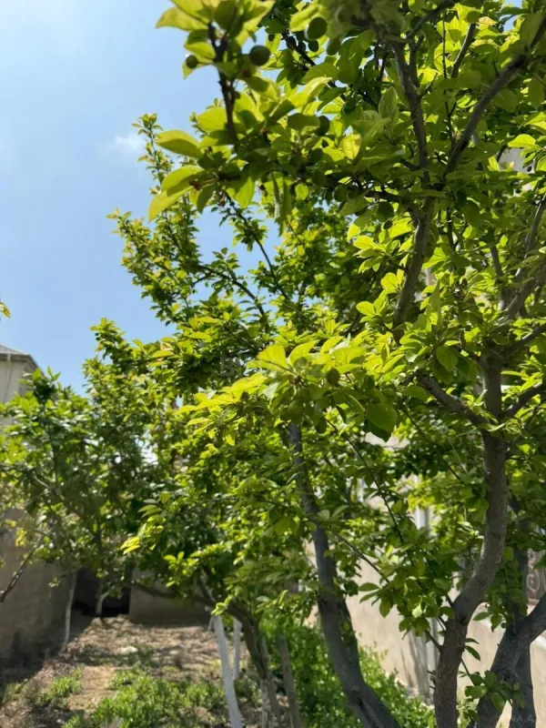 Satılır 6 otaqlı həyət evi 150 m²