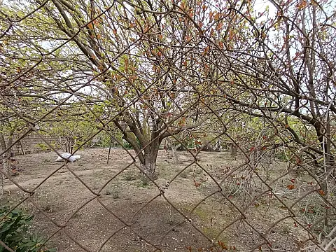 Satılır torpaq sahəsi 6 m²