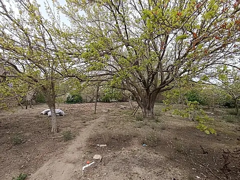 Satılır torpaq sahəsi 6 m²