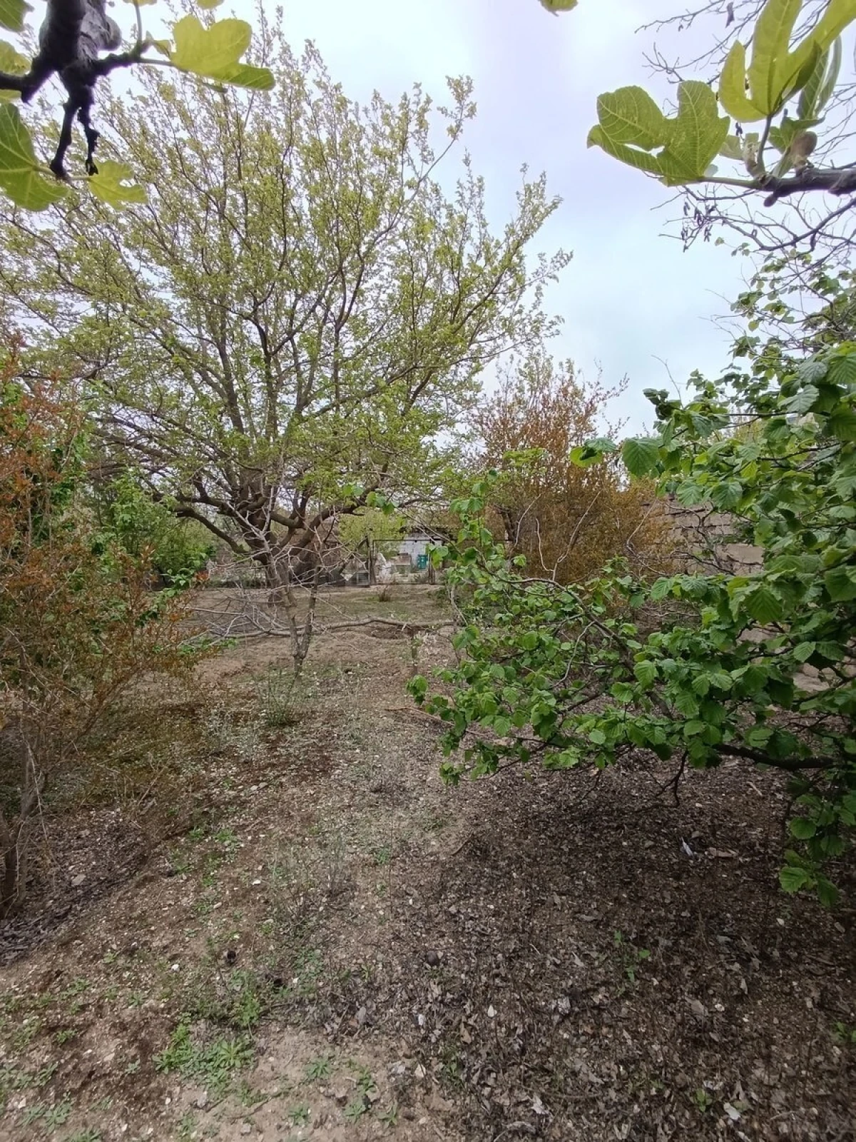 Satılır torpaq sahəsi 6 m²