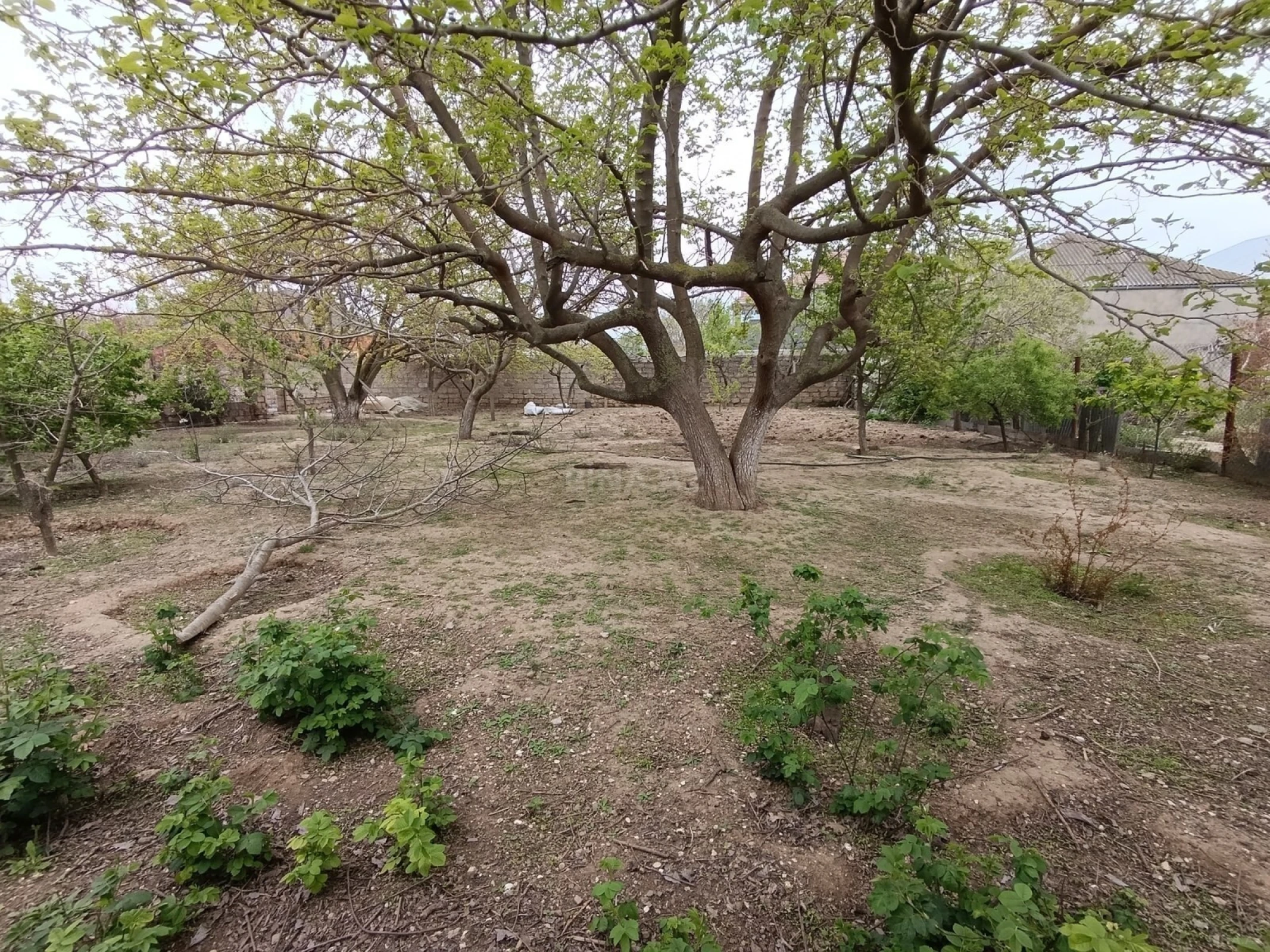 Satılır torpaq sahəsi 6 m²