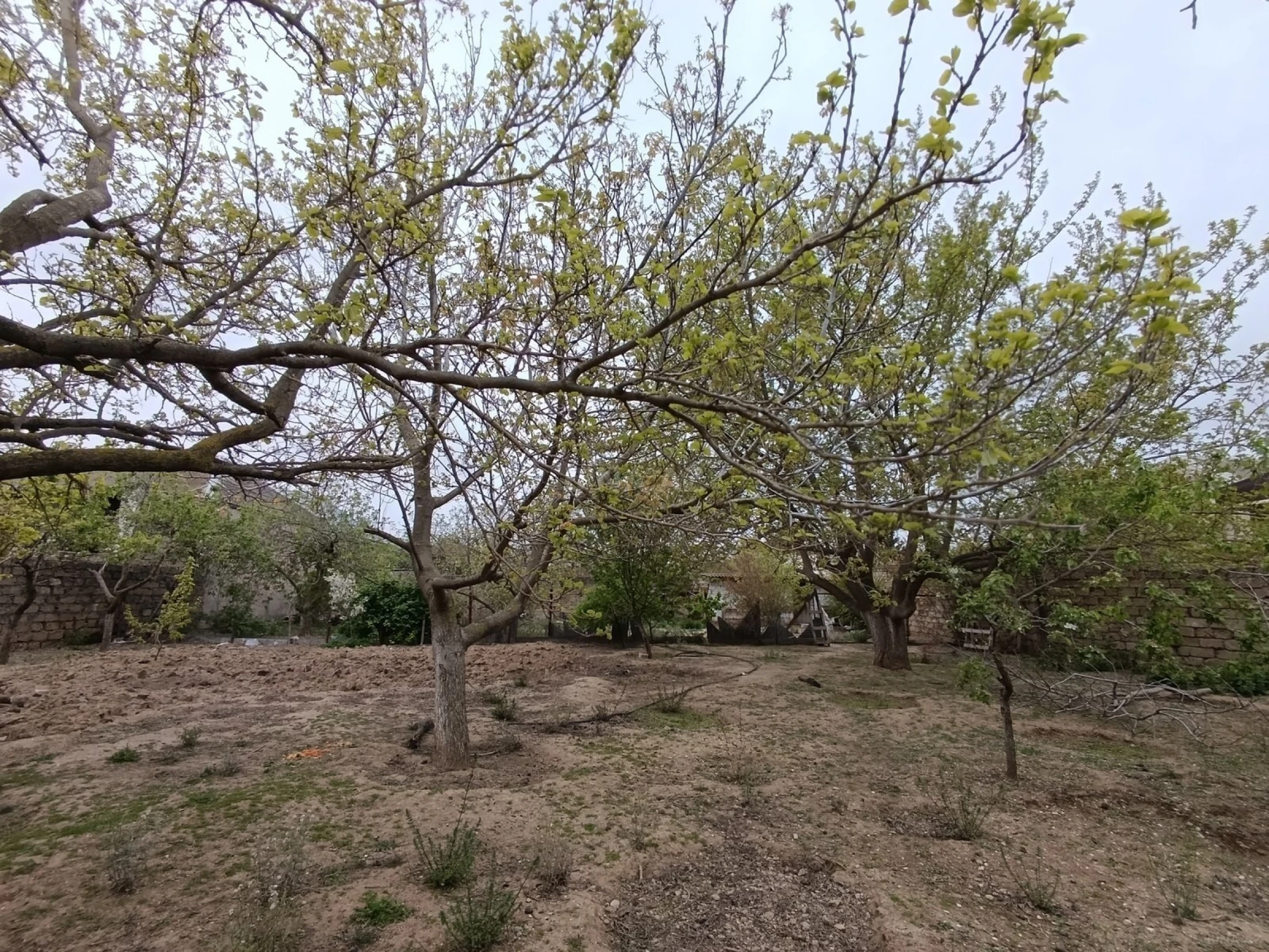 Satılır torpaq sahəsi 6 m²