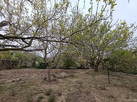 Satılır torpaq sahəsi 6 m²