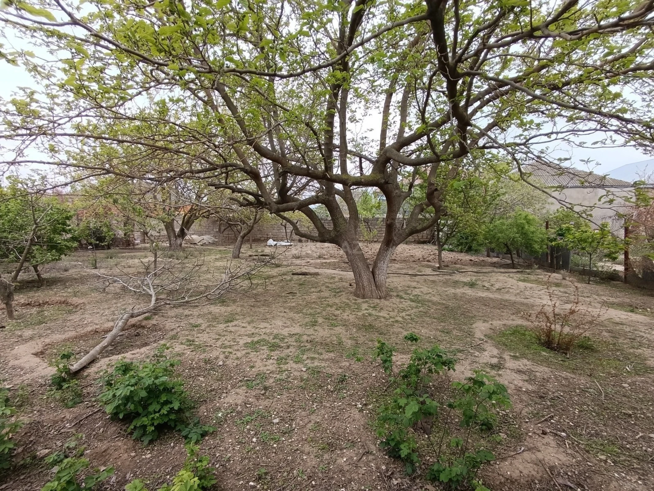 Satılır torpaq sahəsi 6 m²