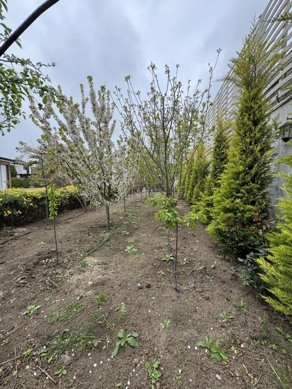 Kirayə verilir 5 otaqlı həyət evi 400 m²