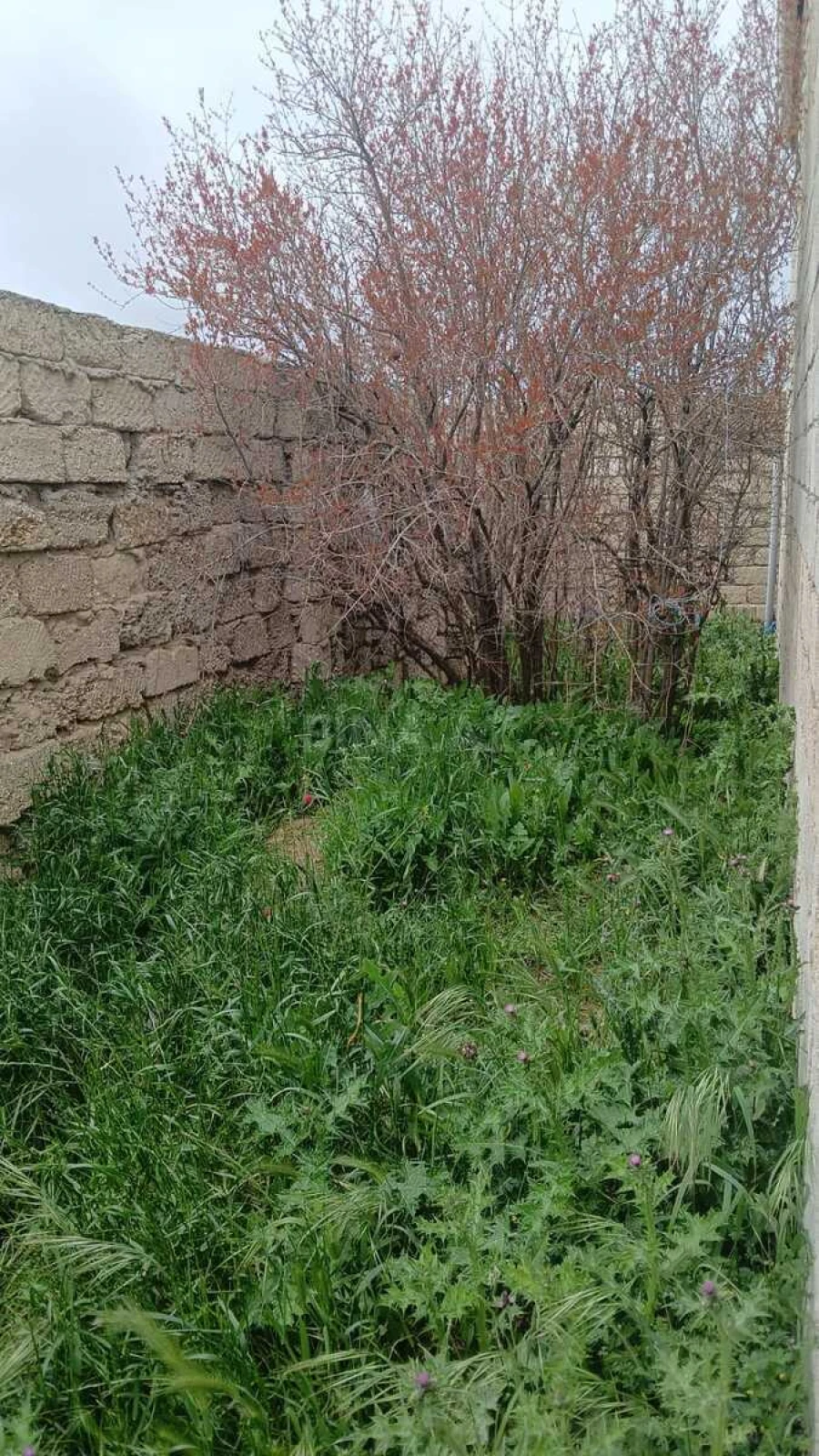 Satılır 5 otaqlı həyət evi 120 m²