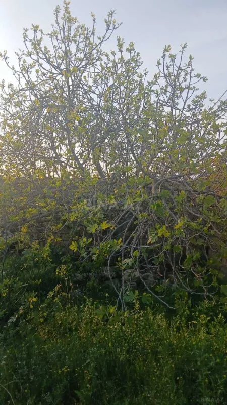 Satılır 5 otaqlı həyət evi 120 m²