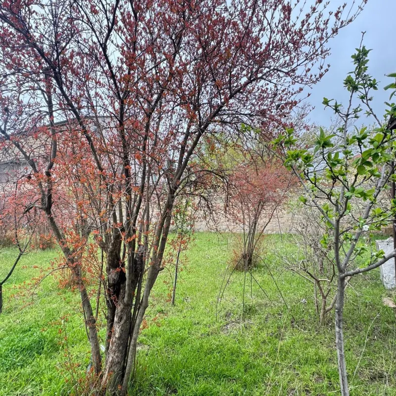 Satılır torpaq sahəsi 2 m²