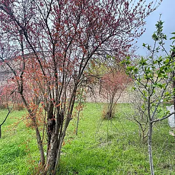 Satılır torpaq sahəsi 2 m²