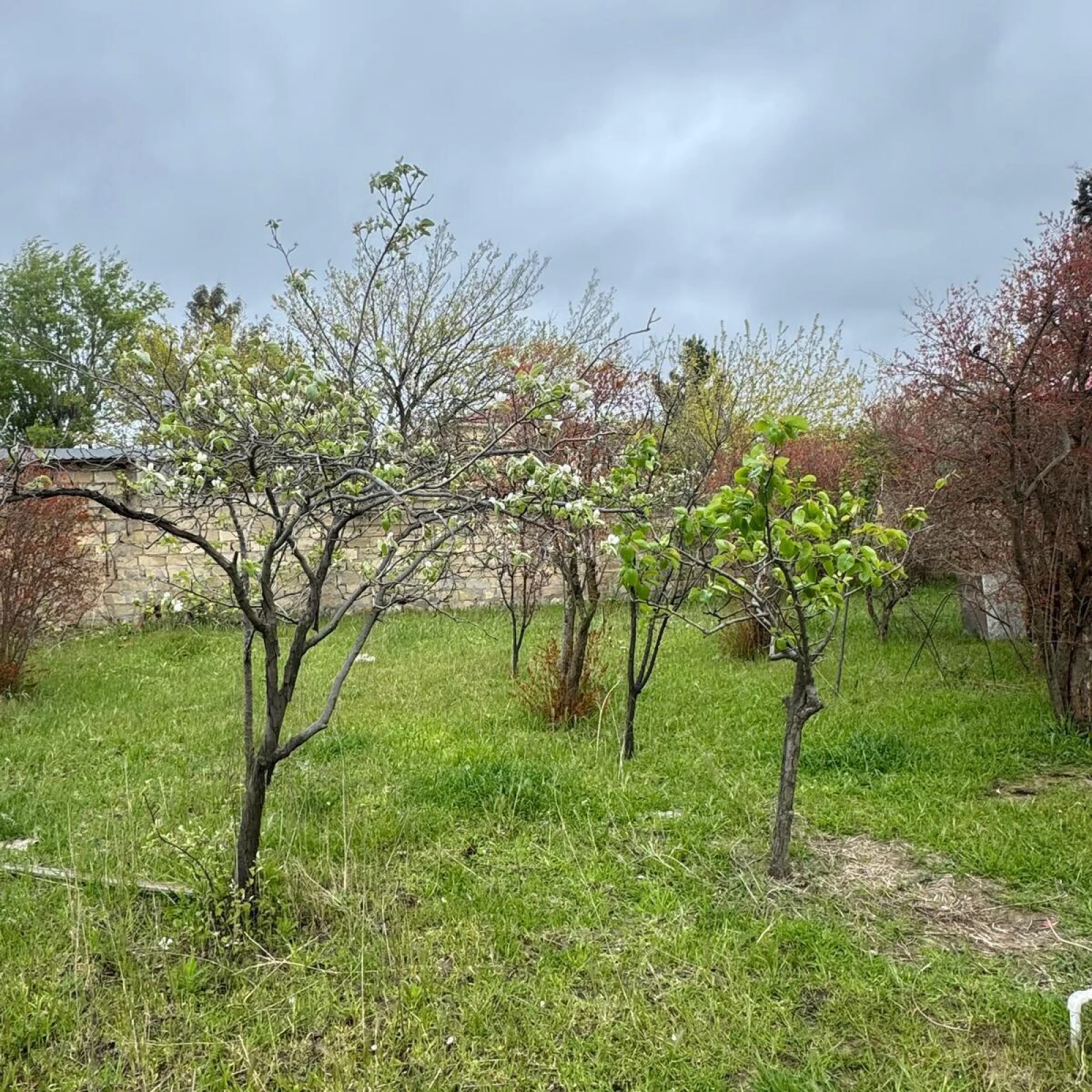 Satılır torpaq sahəsi 2 m²