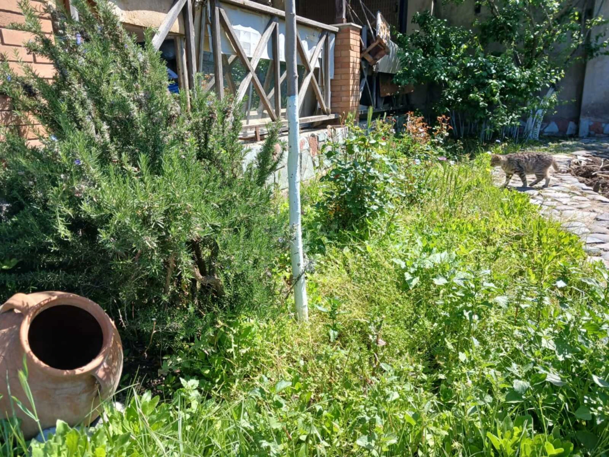 Satılır 3 otaqlı həyət evi 100 m²