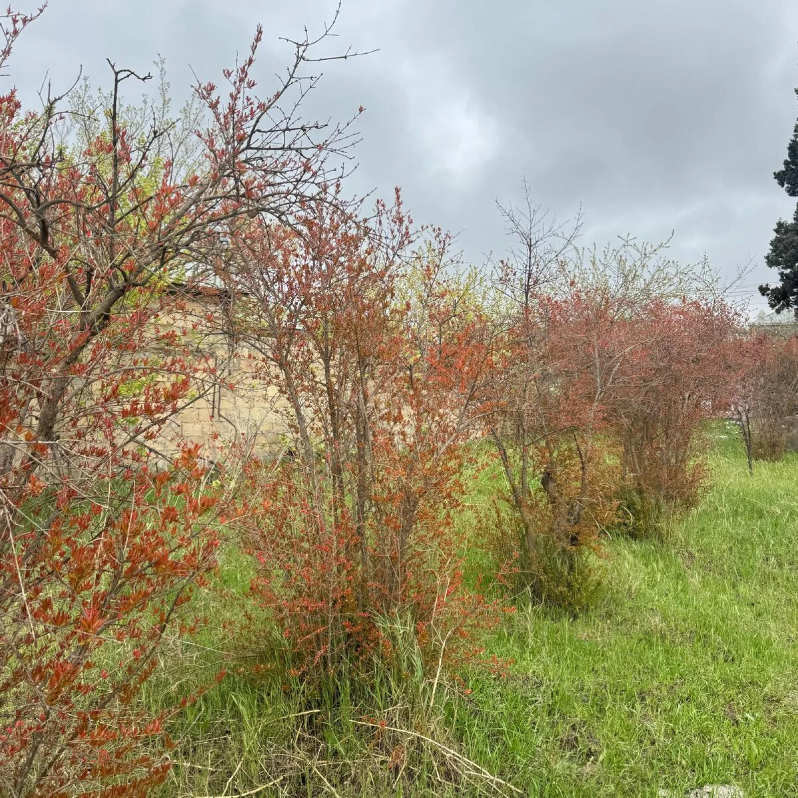 Satılır torpaq sahəsi 3 m²