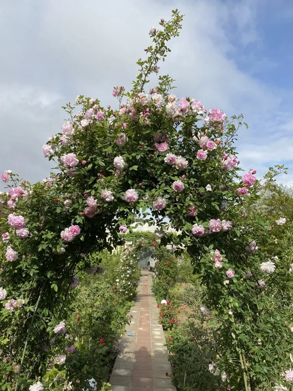 Kirayə verilir 3 otaqlı həyət evi 100 m²