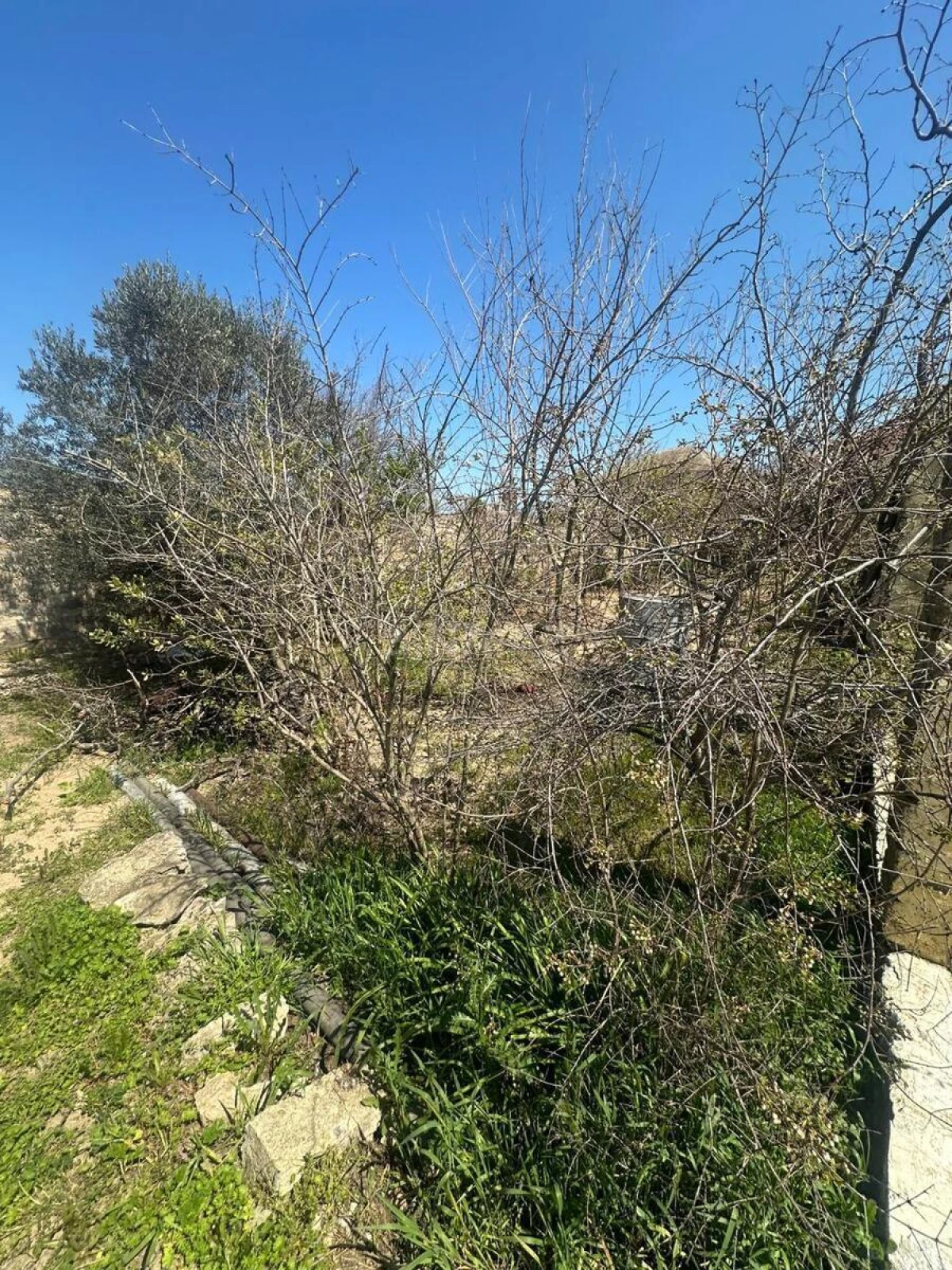 Satılır torpaq sahəsi 6 m²