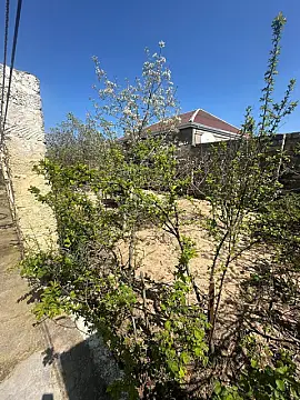 Satılır torpaq sahəsi 6 m² — Bakı, Bilgəh 6.00 m²