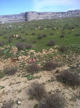 Satılır torpaq sahəsi 50 m²