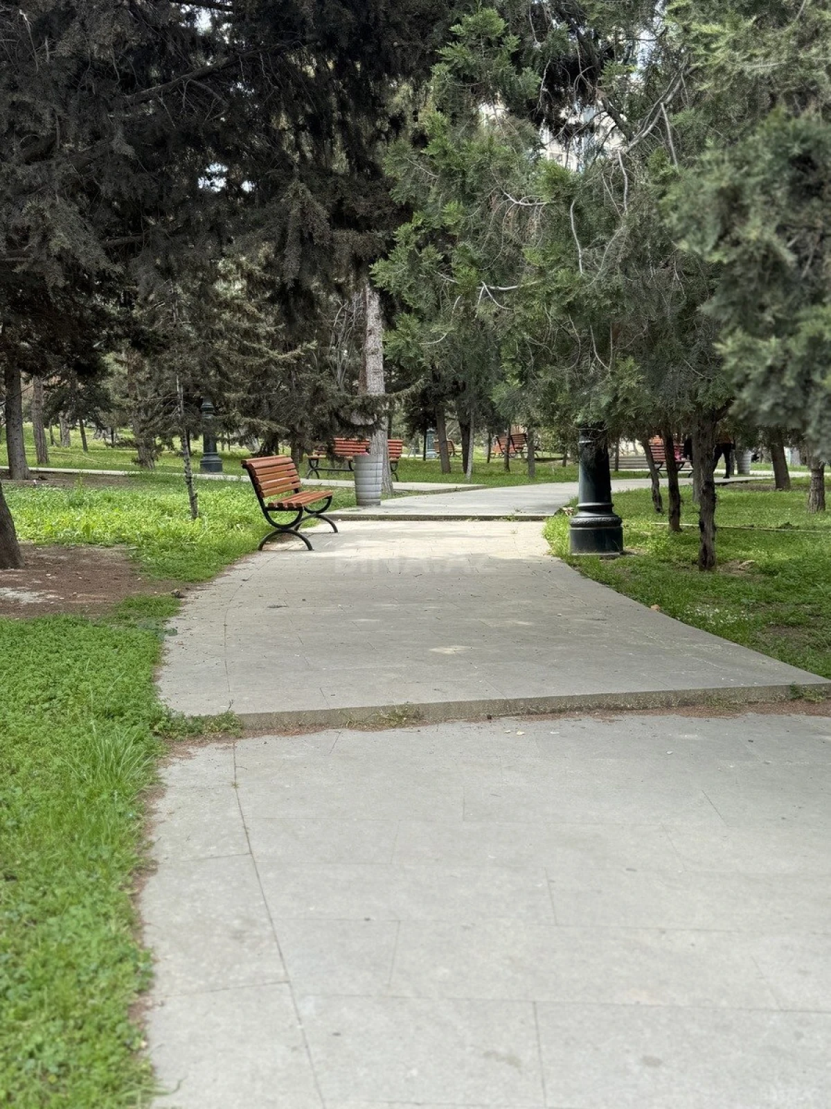 Kirayə verilir 4 otaqlı ofis 114 m²