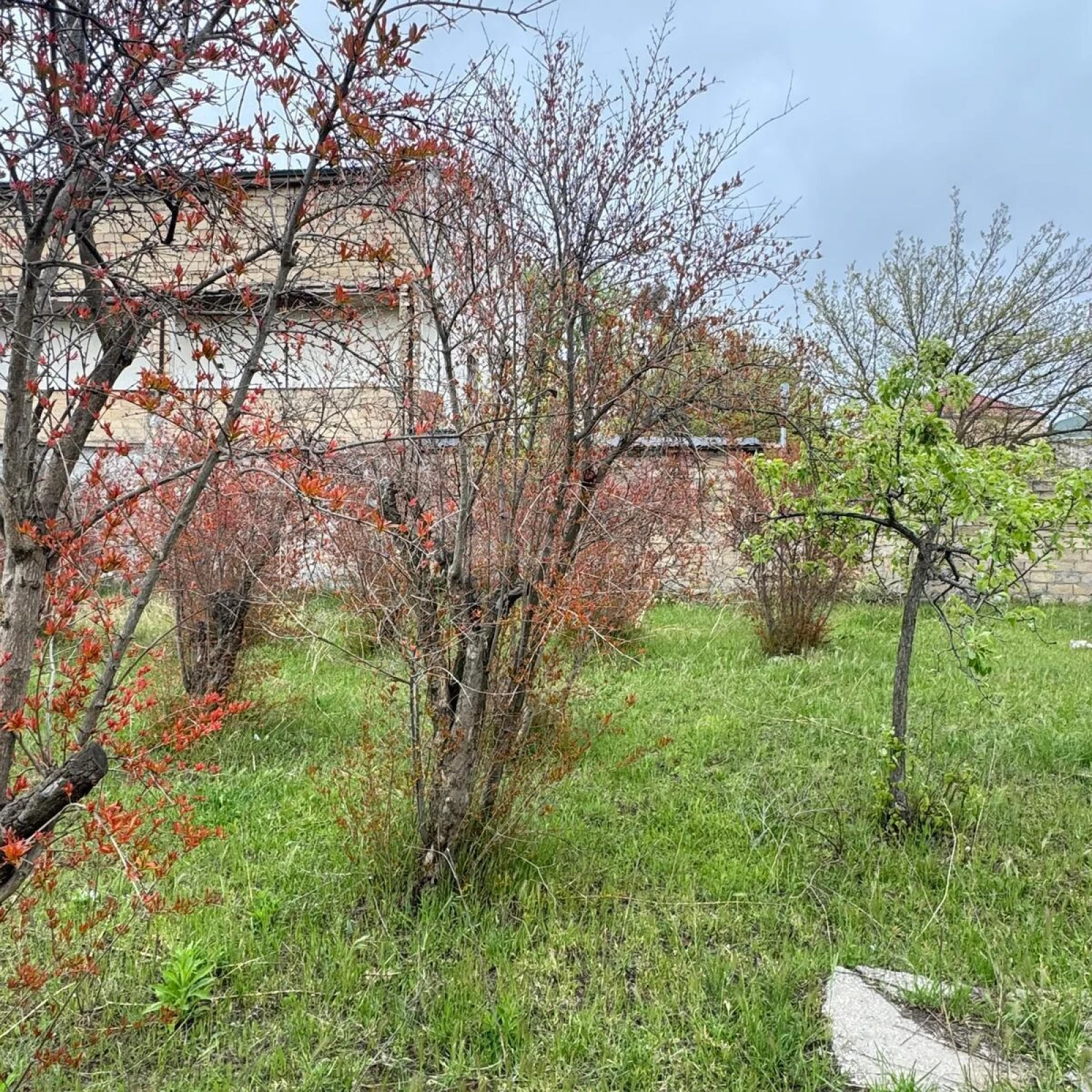Satılır torpaq sahəsi 4 m²