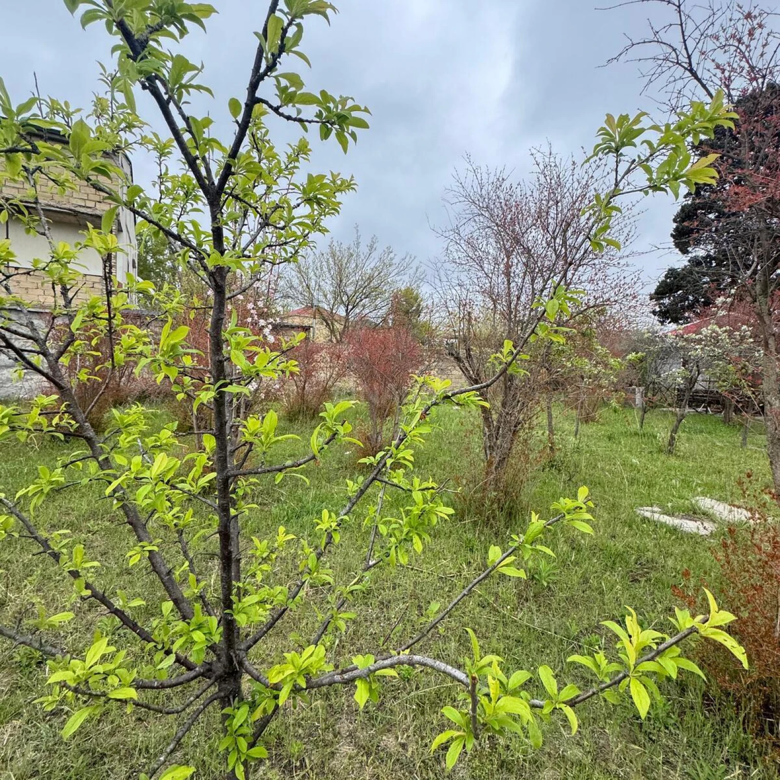 Satılır torpaq sahəsi 4 m²