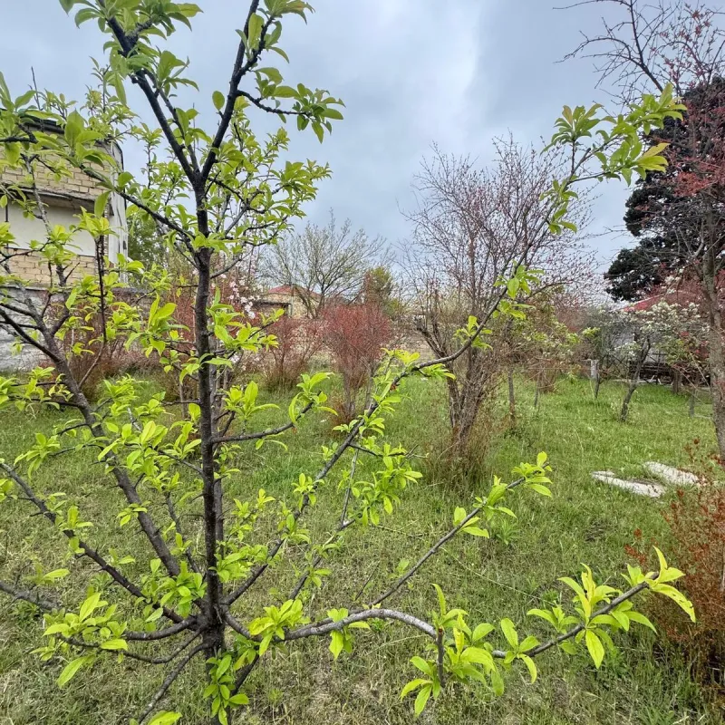 Satılır torpaq sahəsi 4 m²