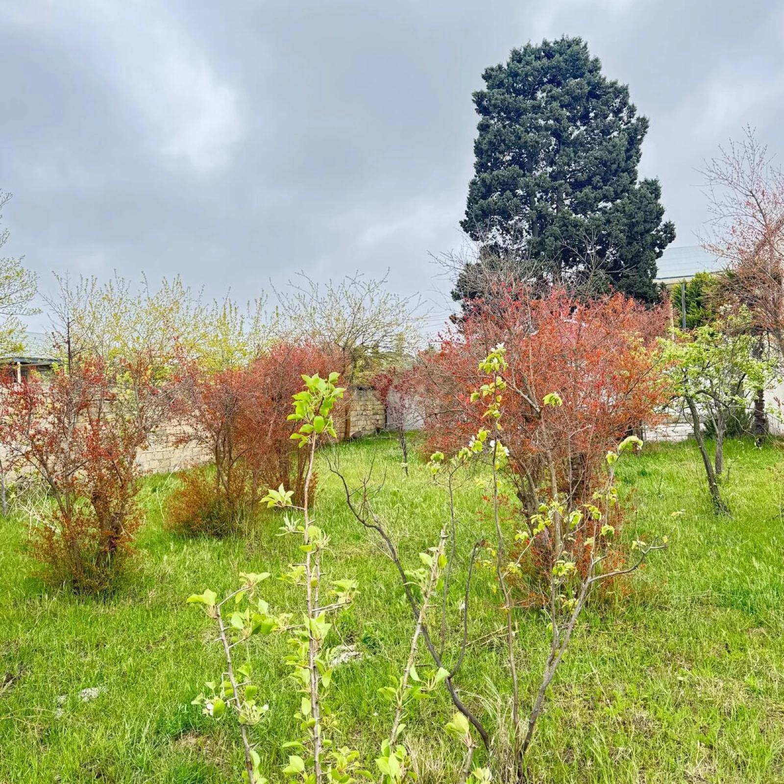 Satılır torpaq sahəsi 4 m²