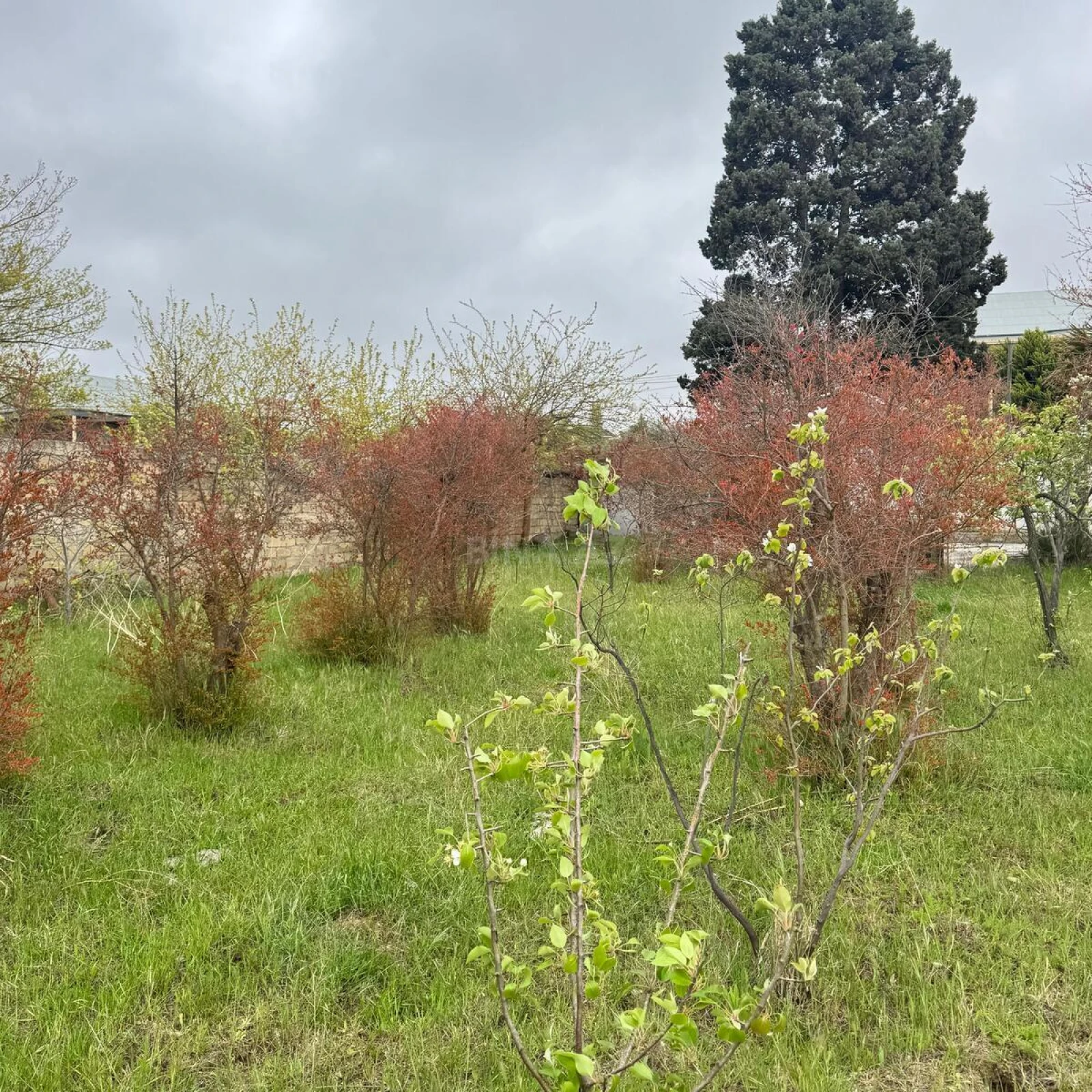 Satılır torpaq sahəsi 4 m²