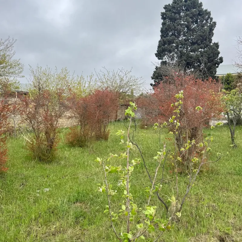 Satılır torpaq sahəsi 4 m²