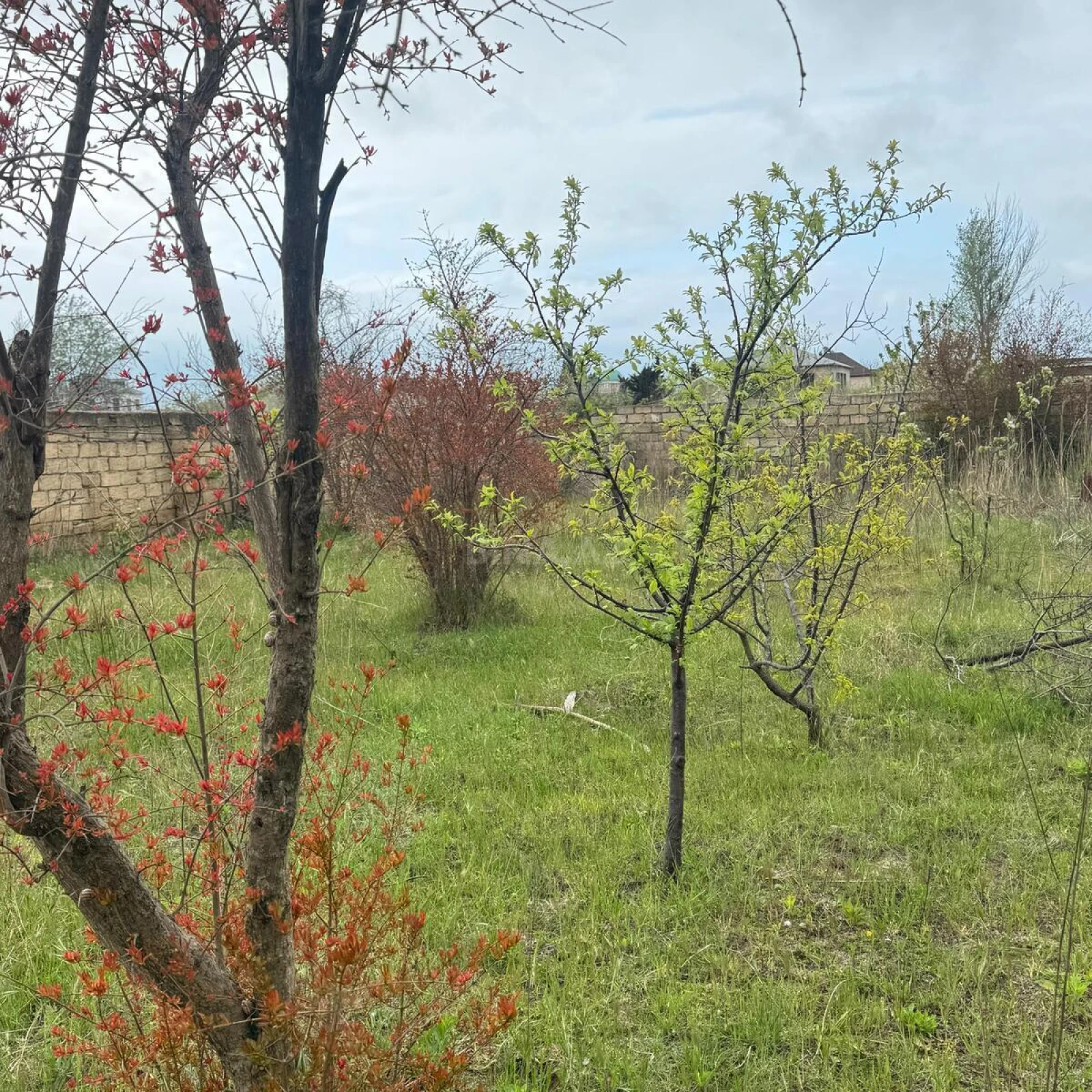 Satılır torpaq sahəsi 4 m²