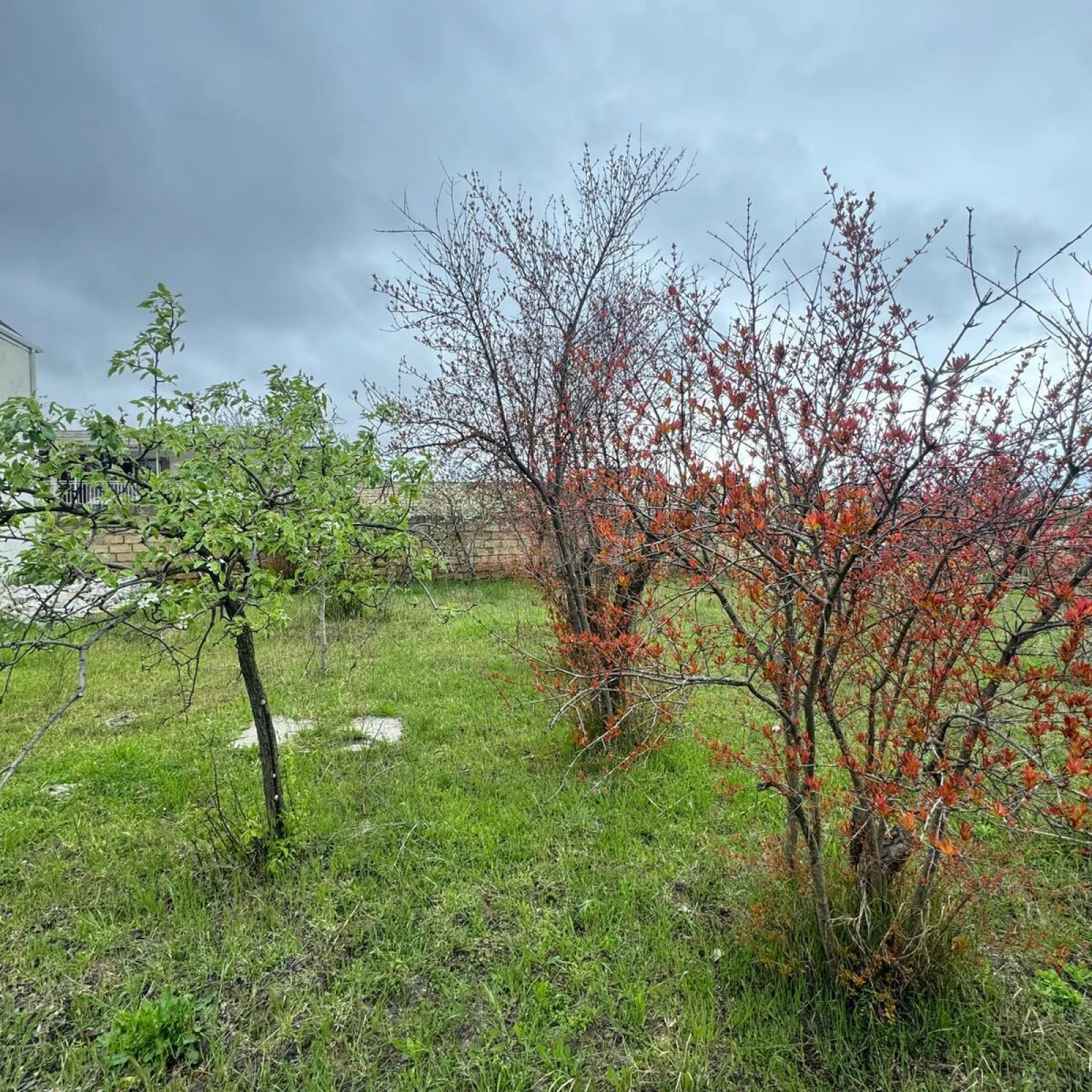 Satılır torpaq sahəsi 4 m²
