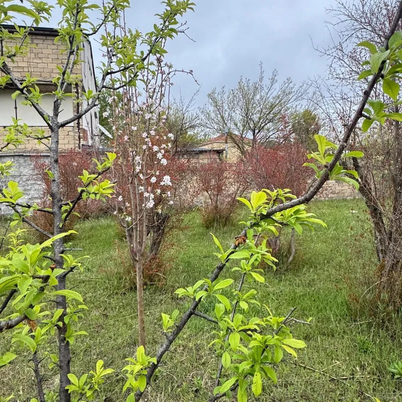 Satılır torpaq sahəsi 4 m²
