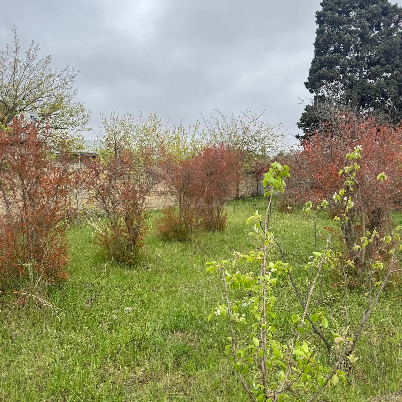 Satılır torpaq sahəsi 4 m²