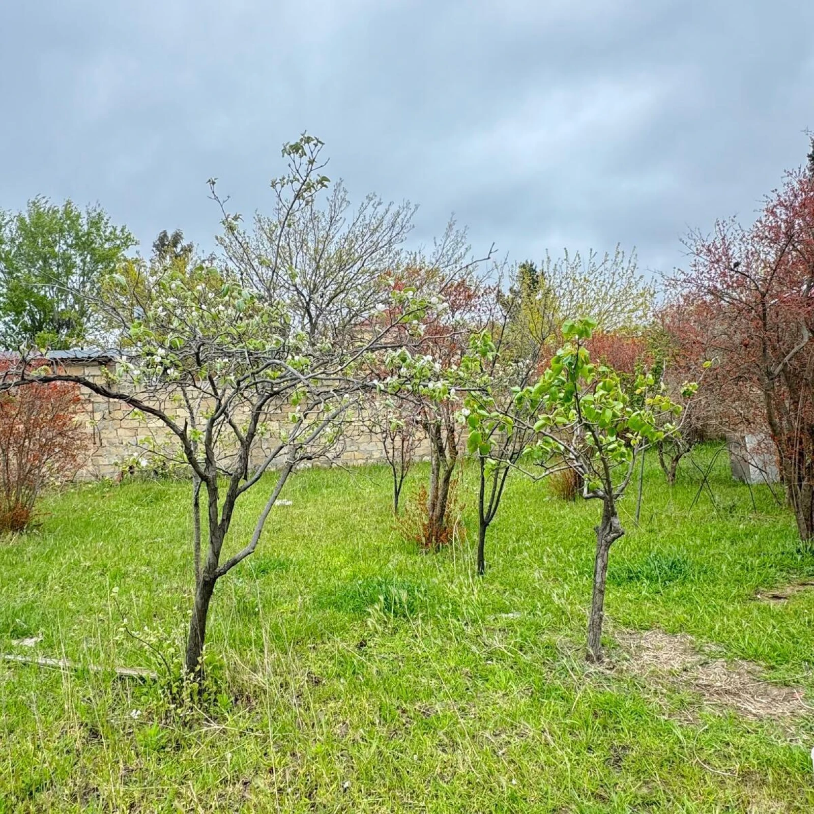 Satılır torpaq sahəsi 4 m²