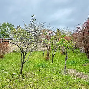 Satılır torpaq sahəsi 4 m²