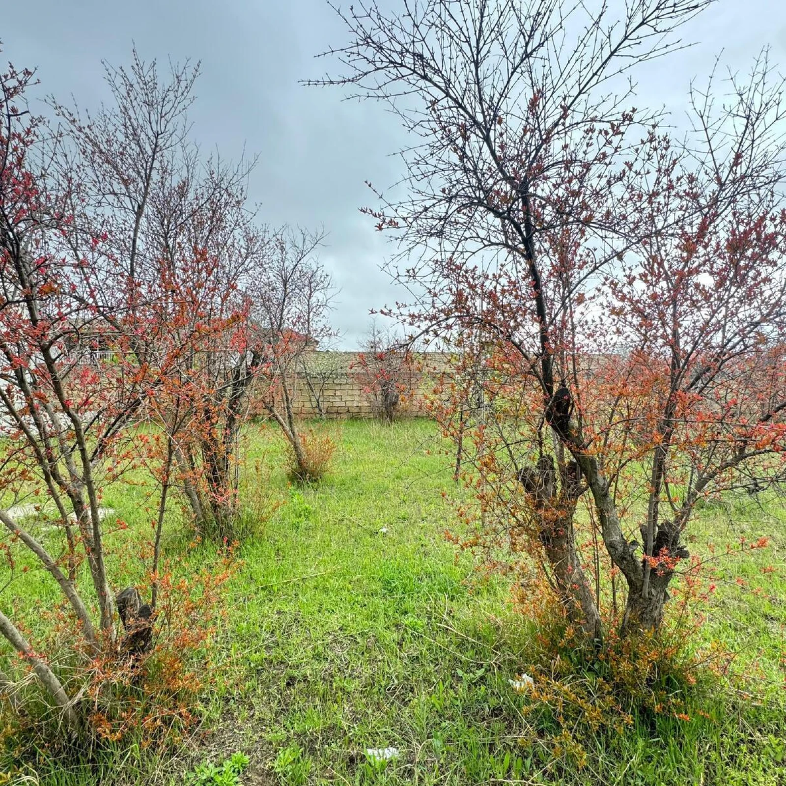 Satılır torpaq sahəsi 4 m²