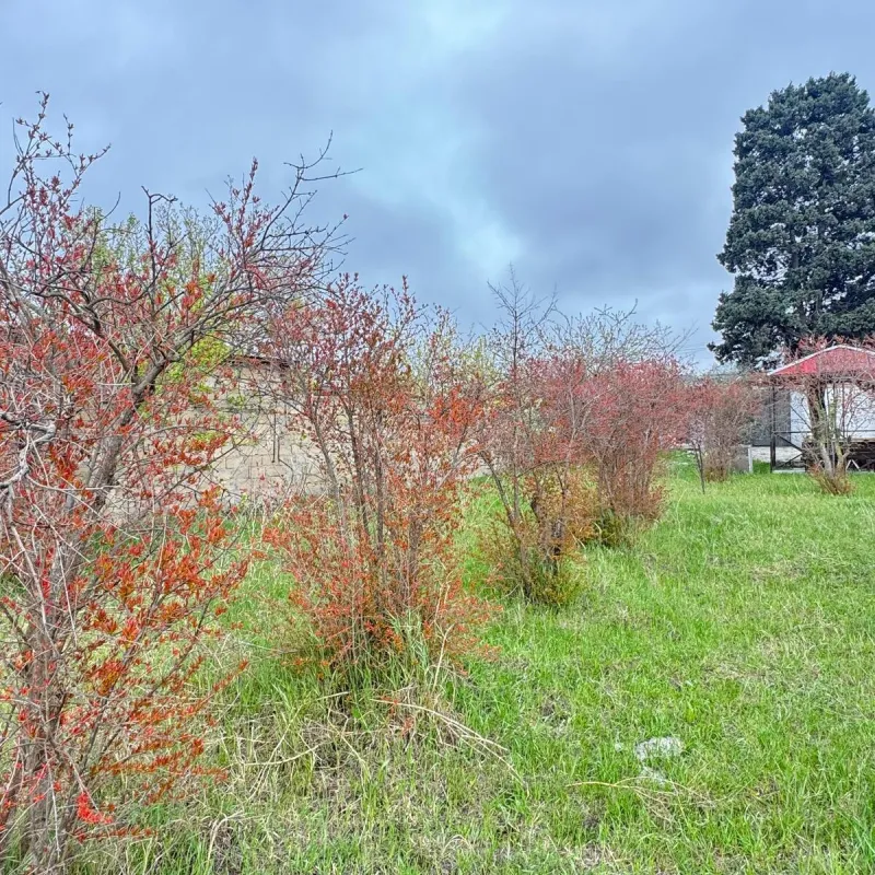 Satılır torpaq sahəsi 4 m²