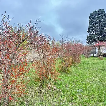 Satılır torpaq sahəsi 4 m²