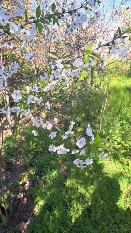Satılır torpaq sahəsi 3.5 m²